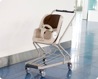 Stroller rental image