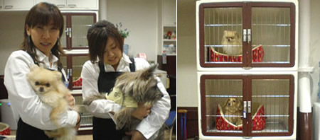 ペットホテル受付（お預かり）の店舗写真