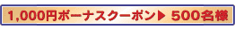 1,000円ボーナスクーポン>500名様