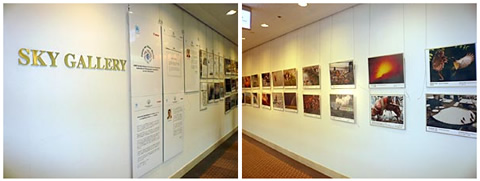 スカイギャラリー風景