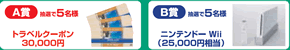 A賞:抽選で5名様 トラベルクーポン30,000円 B賞:抽選で5名様 ニンテンドー Wii(25,000円相当)