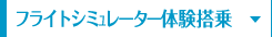 フライトシミュレーター体験搭乗