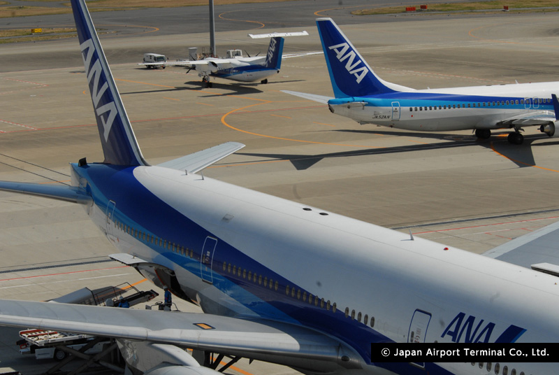 Beautiful moments at Haneda Airport