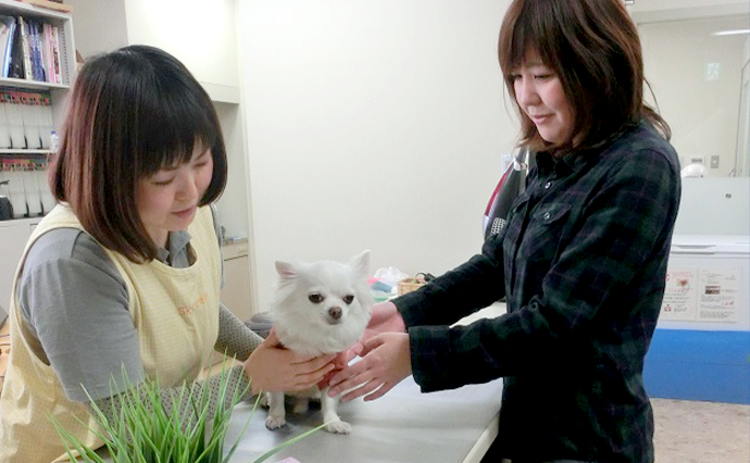 P4 Parking 1F Haneda Airport Pet Hotel Front Counter (Check-in counter)_0