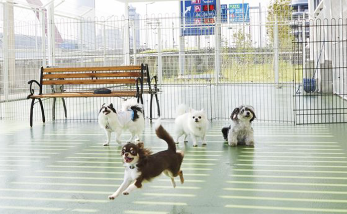 P4 Parking 1F Haneda Airport Pet Hotel Front Counter (Check-in counter)_1