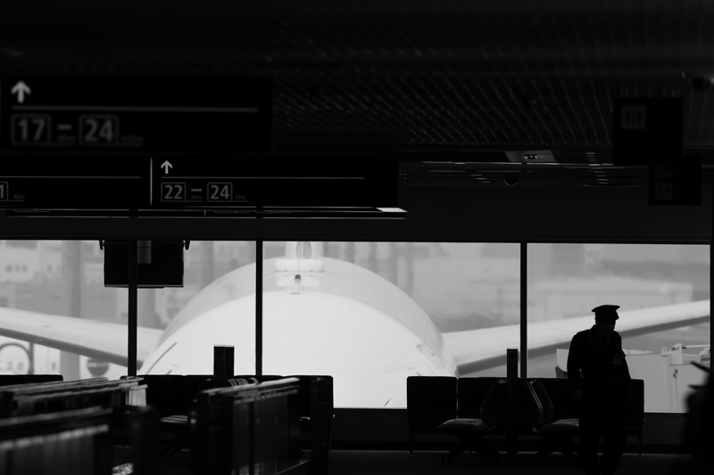 Terminal Award Hitoshi Hasegawa "Still flying"