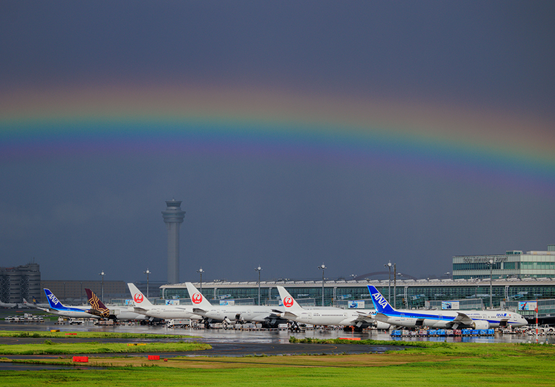 Special Award Mr. Yutaka Nakayama &quot;Gift after the rain&quot;