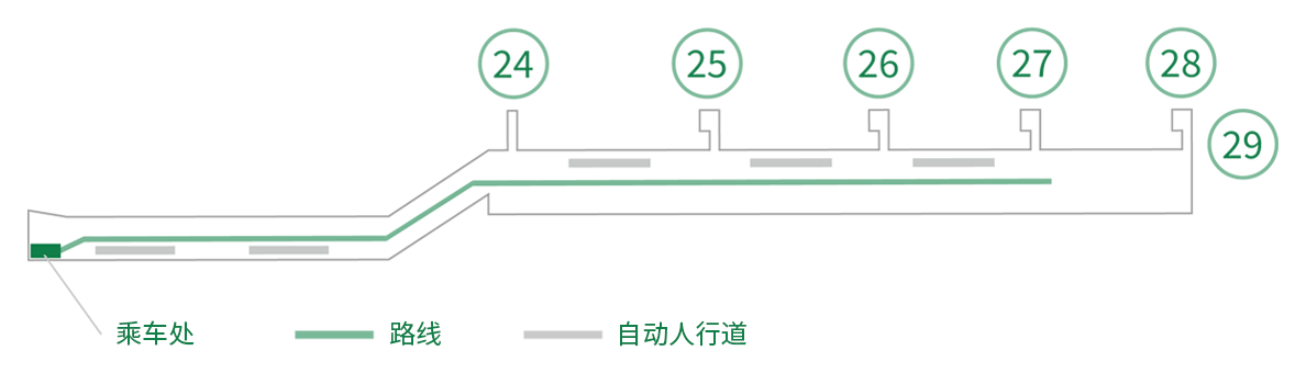 第1航站楼多座自动驾驶接驳车（iino）乘车处