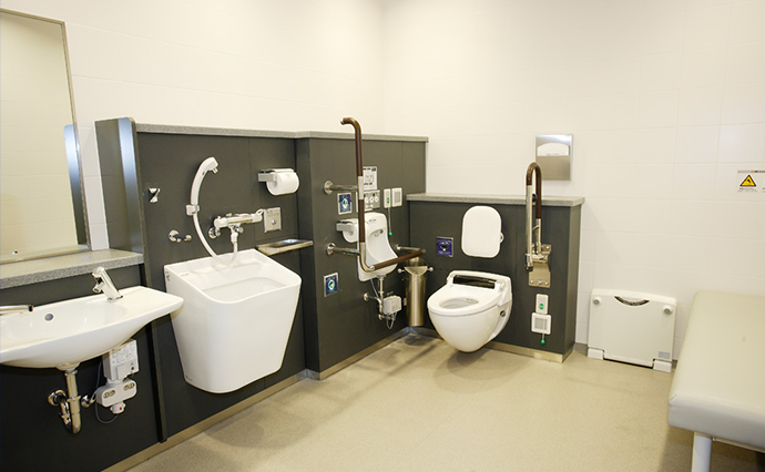 Toilets / Multipurpose Toilets