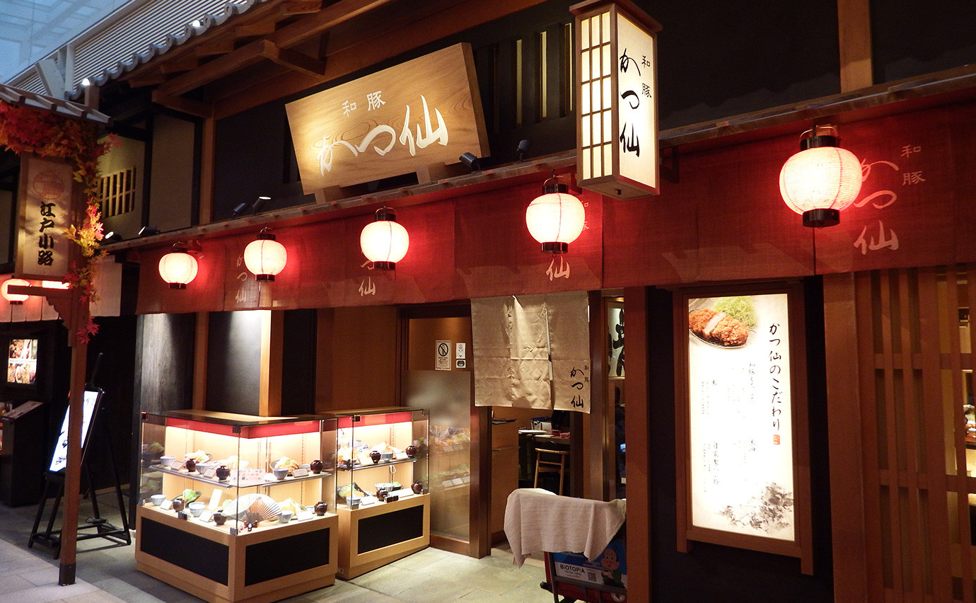 日本猪排的外观